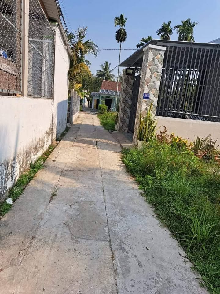 Đất nền xã Bình Thạnh, Thủ Thừa, Long An 150m² chỉ 590 triệu - Đầu tư sinh lời ngay!