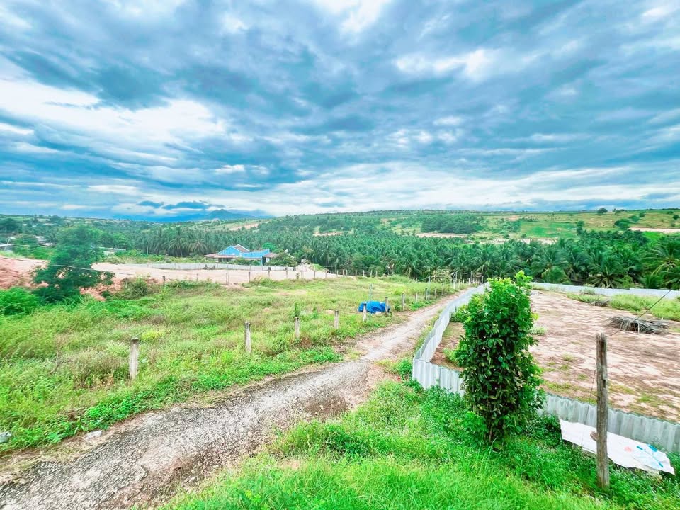 Bán đất mặt tiền nhựa - Đường Triền 715, Bắc Bình, 3841m² - Tiềm năng du lịch lớn!