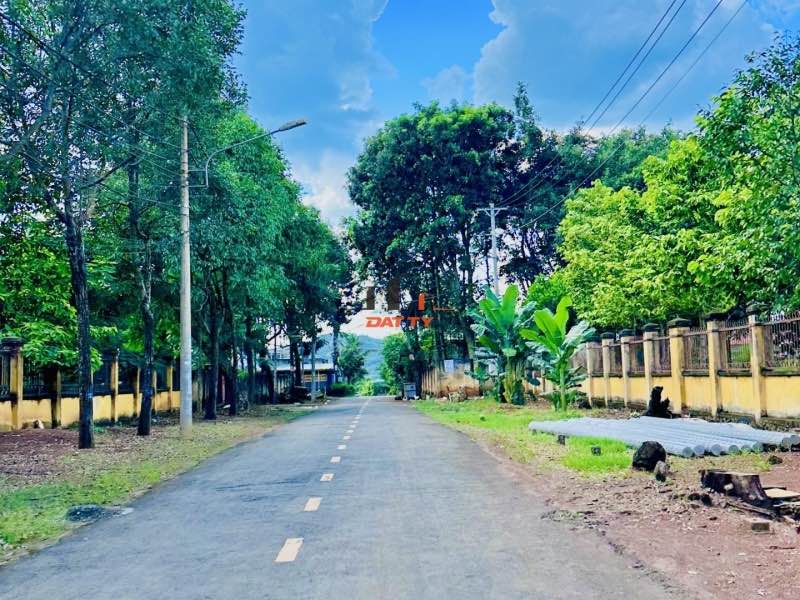 Đất mặt tiền đường Nay Thông, phường Ea Tam, 120m² giá 2.85 tỷ - Pháp lý sổ đỏ chính chủ!