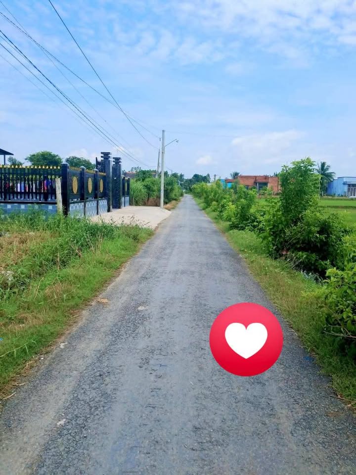 Đất mặt tiền nhựa Sơn Qui, Gò Công 175m² giá 550 triệu - Nền cao ráo, khu dân cư sầm uất!