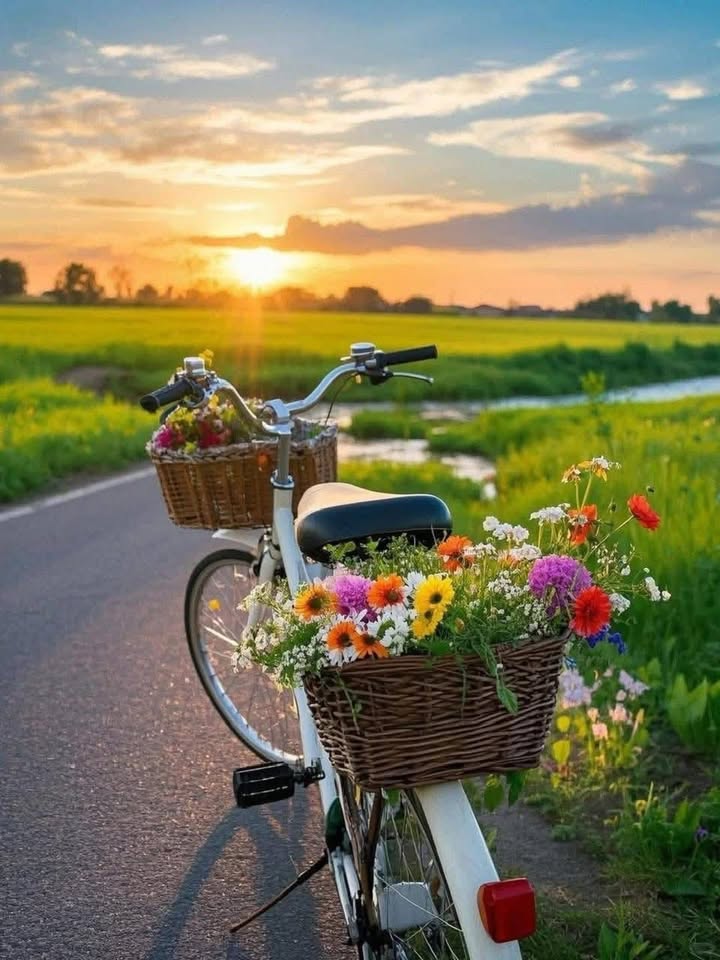 Đất nền Duy Phước 331m² giá cực tốt chỉ 200 triệu - Cơ hội đầu tư hấp dẫn!