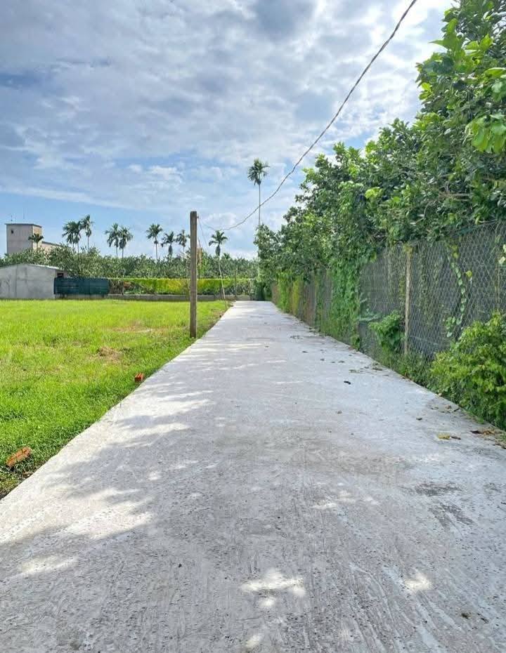 Đất nền Phường Mỹ Phong 150m² giá 500 triệu - Sổ hồng riêng từng nền!