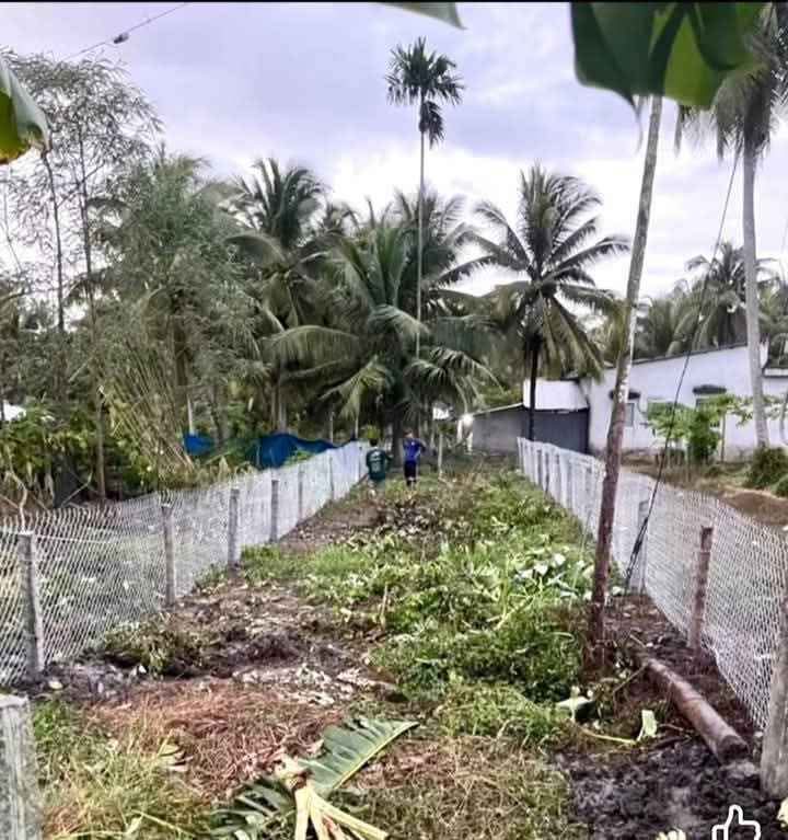 Đất thổ cư 165m² mặt tiền tỉnh lộ 901, xã Thới Hòa, Trà Ôn, Vĩnh Long - Giá chỉ 620 triệu!