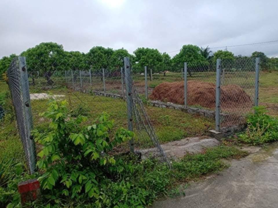 Đất thổ cư 100m² tại Thôn Gò Mè, Suối Tiên - Chỉ 600 triệu!