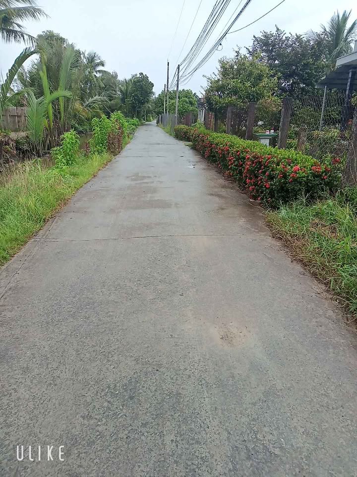 Đất thổ cư Nhựt Chánh Bến Lức 322m² giá 1.5 tỷ - Sổ đỏ chính chủ