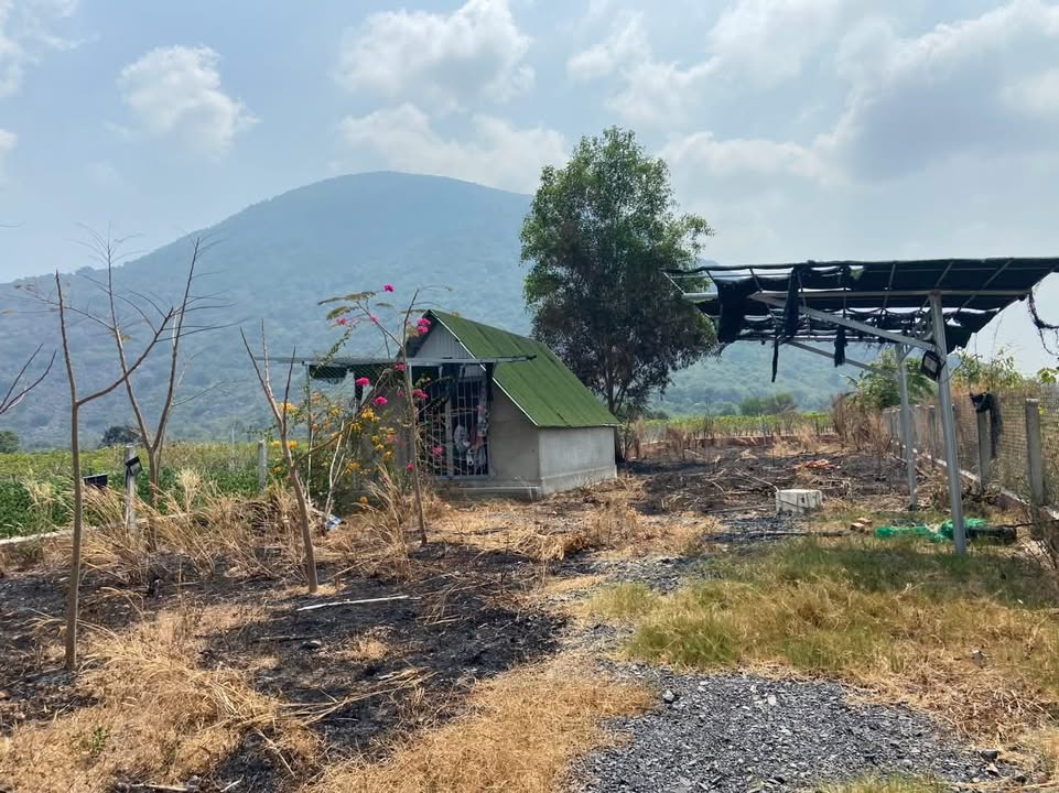 Đất nền 600m² tại Phường Ninh Sơn, Tây Ninh - Chính chủ bán giá tốt!