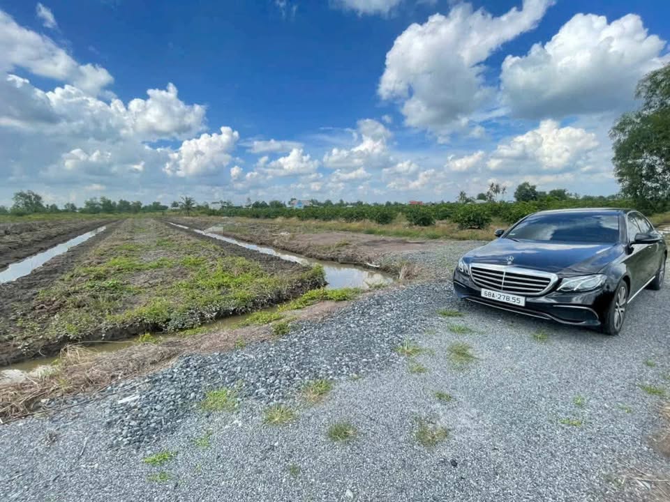 Đất vườn 1000m² xã Thạnh Hoà, Bến Lức chỉ 695 triệu - Cơ hội đầu tư lý tưởng!