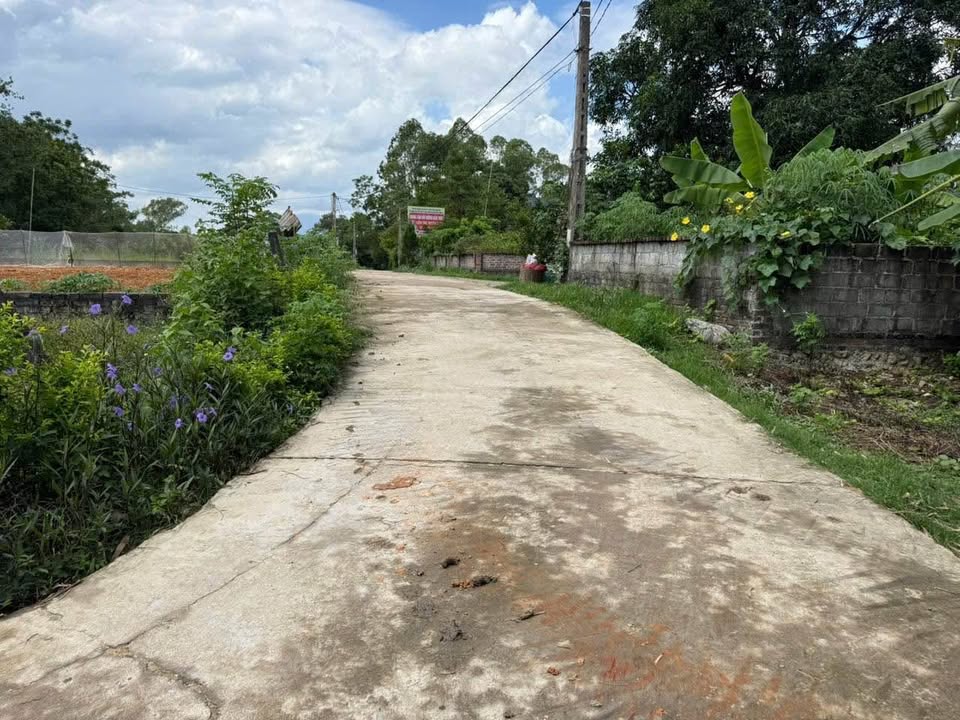 Đất nền Đắc Sơn Phổ Yên 146m² giá chỉ 800 triệu - Lô góc 2 mặt tiền đắc địa!