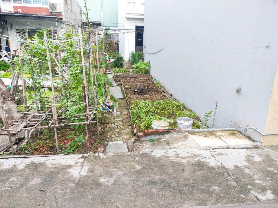 Đất nền Đông Hải 1, Hải Phòng 48m² chỉ 1.5 tỷ - Cơ hội đầu tư hấp dẫn!