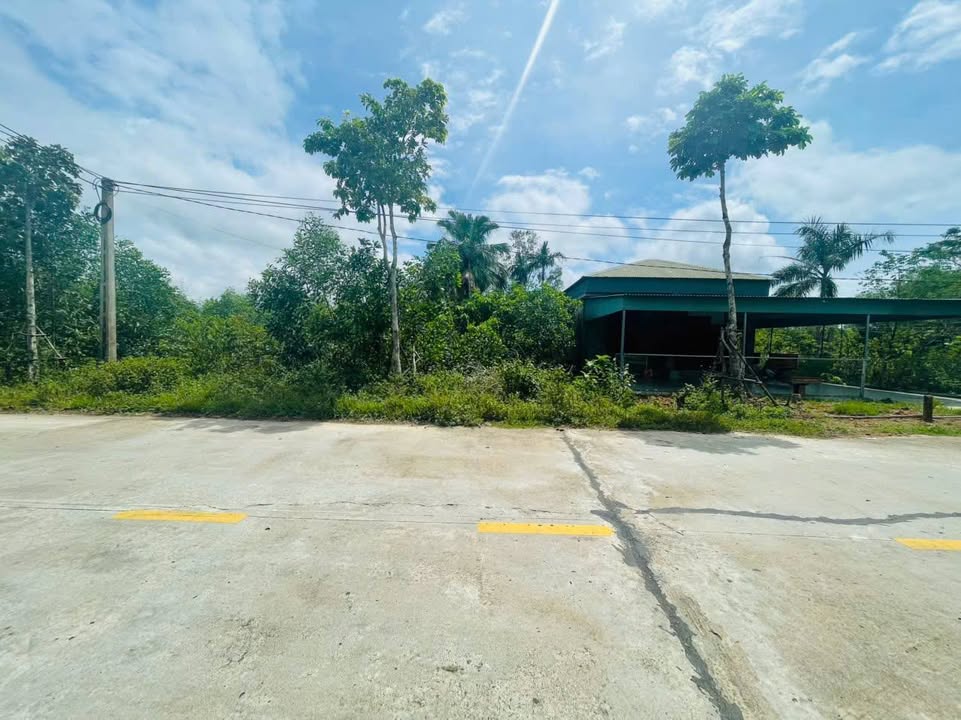 Đất mặt đường Nguyễn Xí, Thạch Xuân 300.6m² giá 1.9 tỷ - Đường thông thoáng, vị trí đẹp!