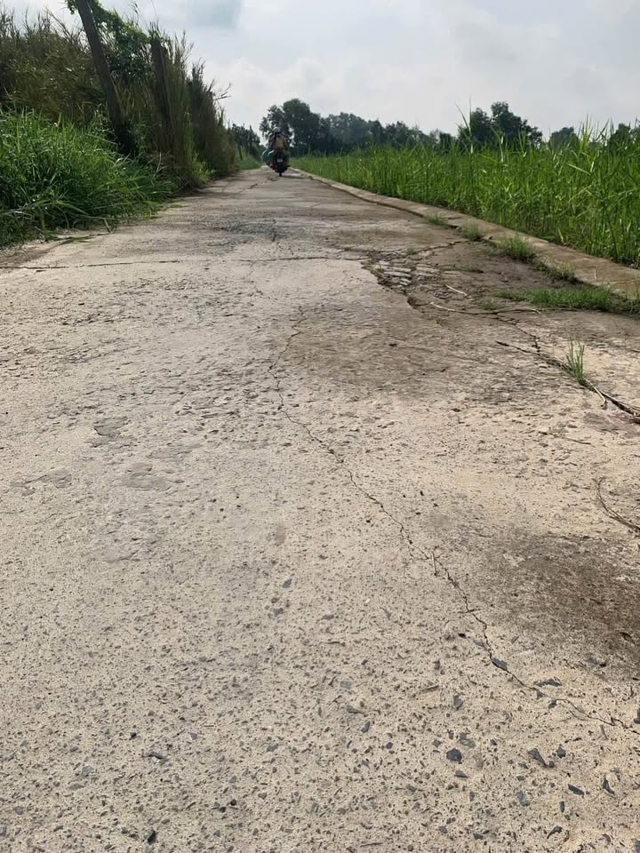 Đất nền 162m² đường Quốc lộ 50, xã Bình Đông, Gò Công - Giá chỉ 660 triệu!