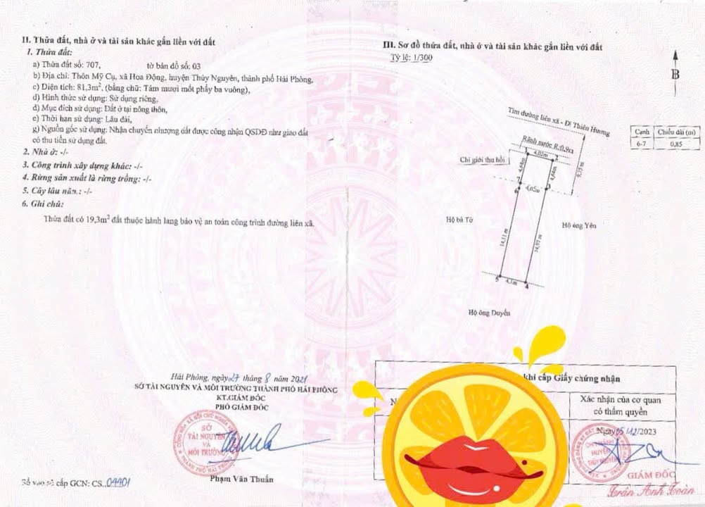 Đất mặt đường 203 phường Thủy Nguyên 81m² - Đầu tư sinh lời ngay!