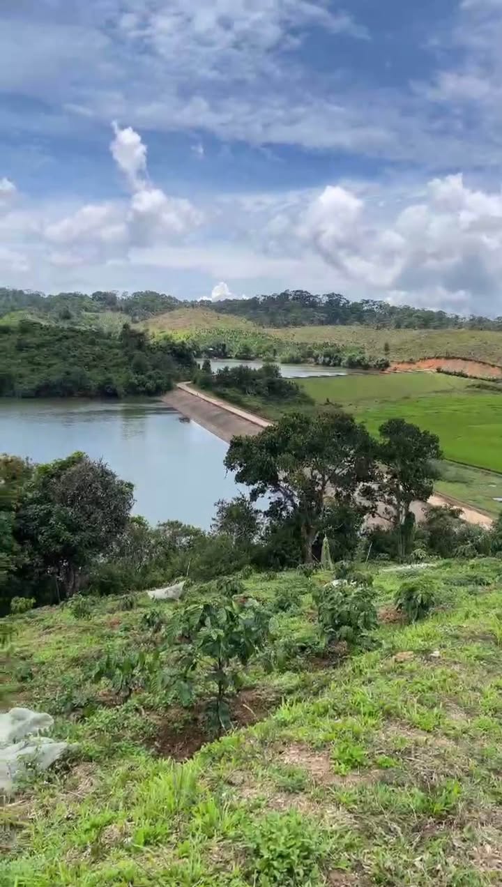 Lô đất Tà Năng, 8500m² giá 1.15 tỷ - View hồ tuyệt đẹp!