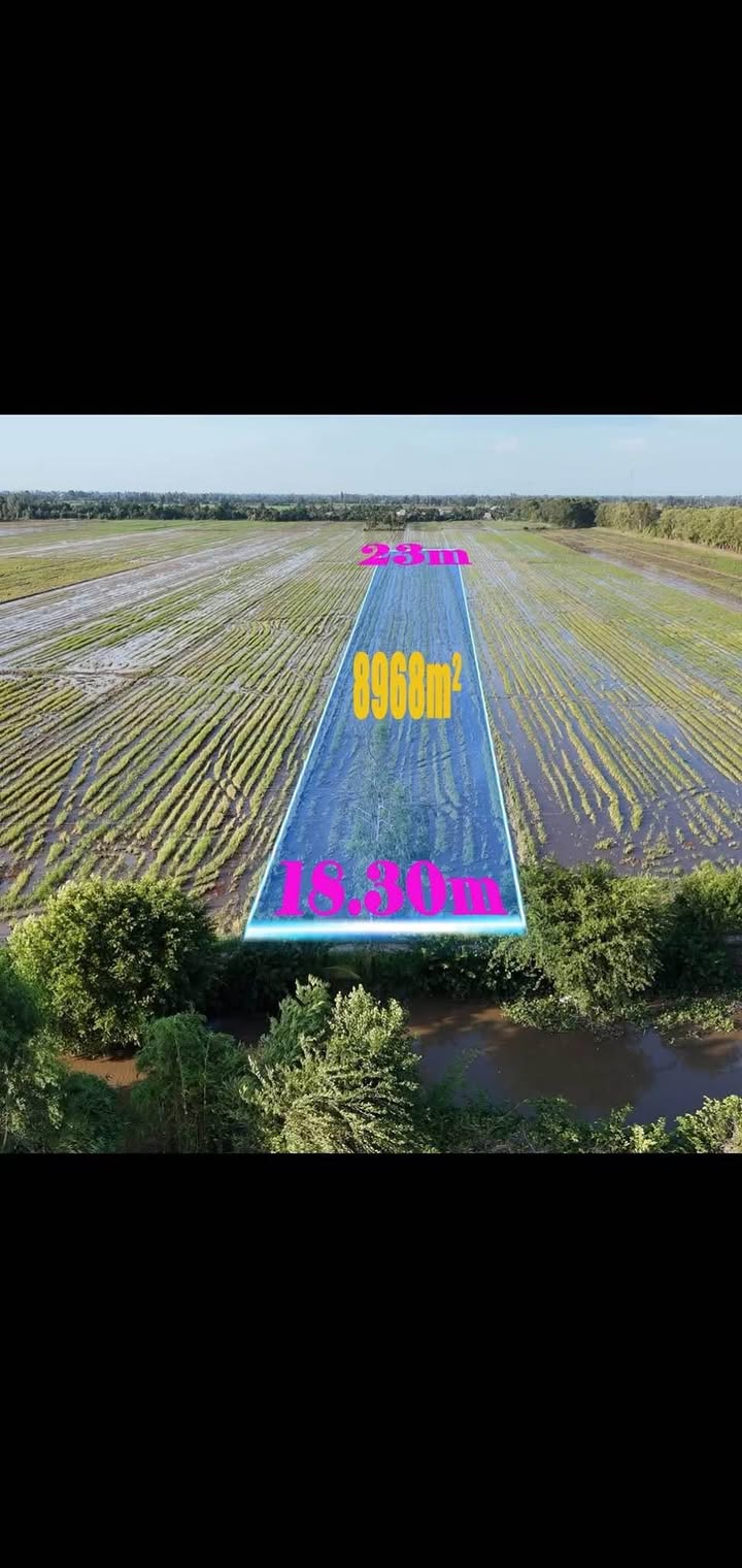 Rao bán đất ruộng tại xã Thạnh Đông, huyện Tân Hiệp, diện tích 8968m² – Cơ hội đầu tư tuyệt vời!