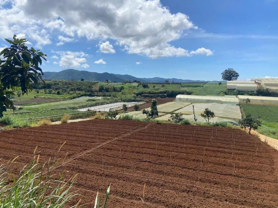 Đất nền chính chủ 72m² tại Xã Quảng Lập - Kinh doanh tiềm năng, giá chỉ 570 triệu!