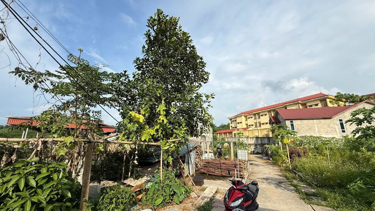 Đất thổ cư Yên Ninh 191m² giá 800 triệu - Tiện ích đầy đủ, vị trí trung tâm!