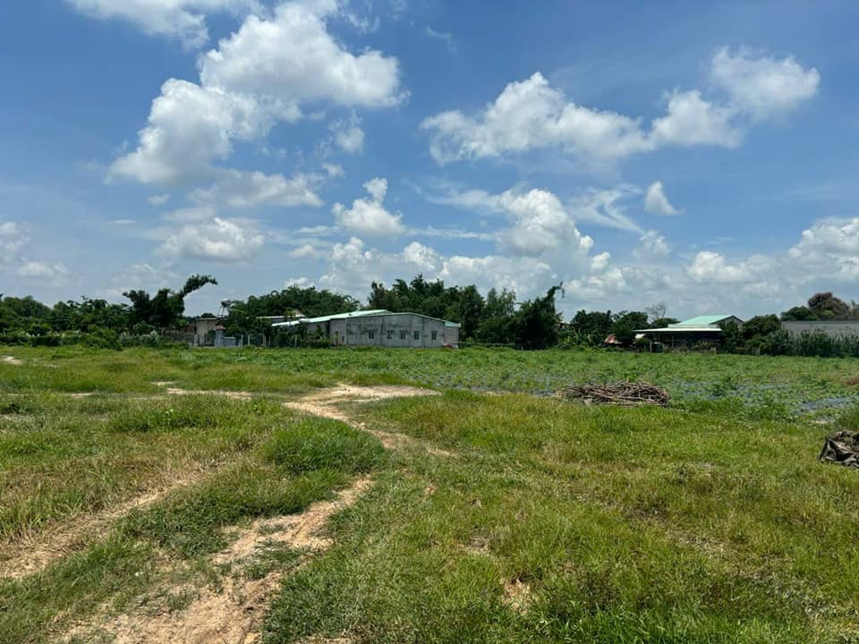 Đất nền 18.224m² tại Xã Lộc Giang, Đức Hòa, Long An - Giá chỉ 18 tỷ, thương lượng ngay!