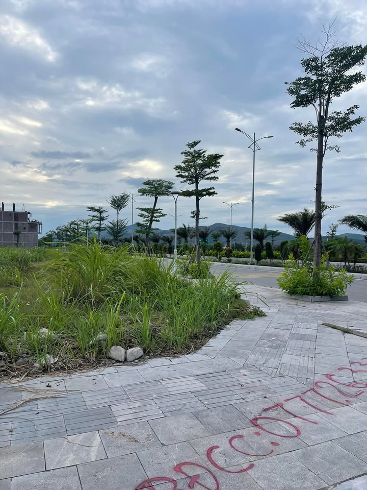 Đất nền Hạ Long 163m² giá 7 tỷ - Sổ đỏ chính chủ, mặt tiền 15m