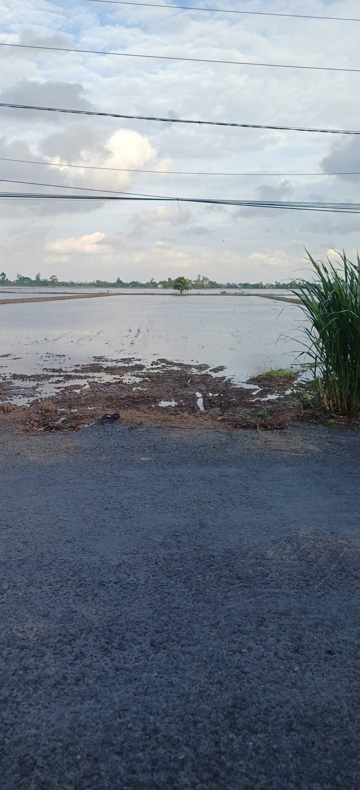 Đất thổ cư 1.200m² và đất ruộng 12.000m² tại Gáo Giồng, Cao Lãnh, giá 3.12 tỷ - Cơ hội đầu tư tuyệt vời!