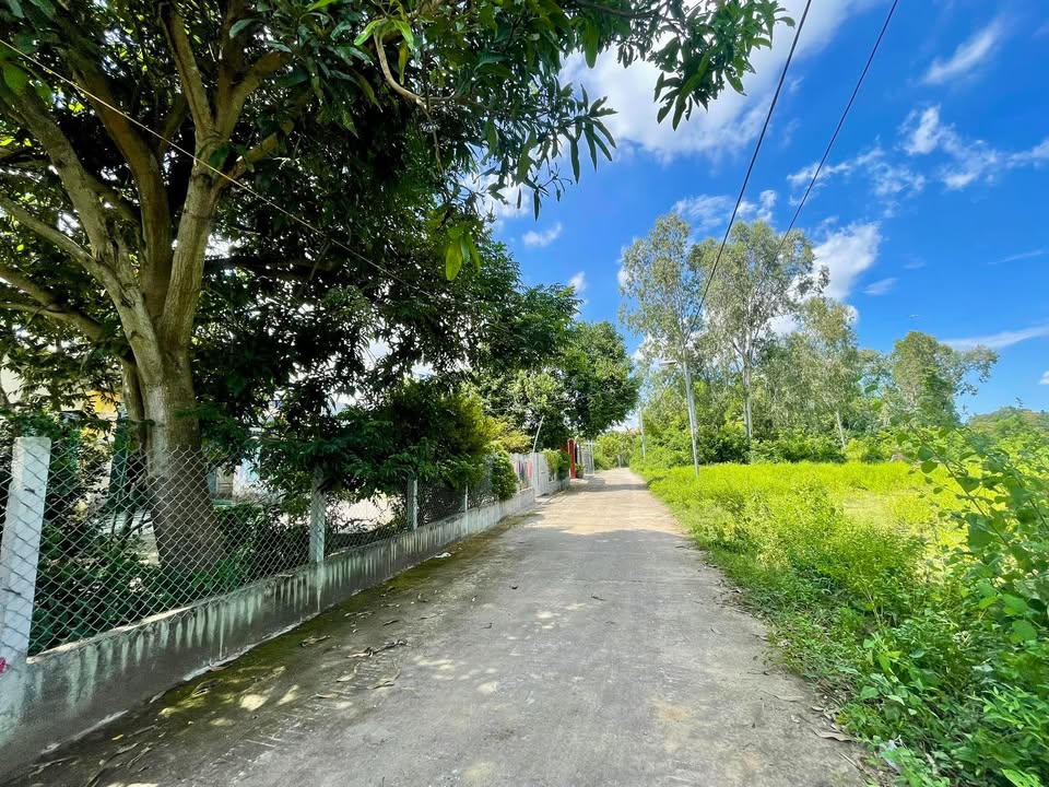 Đất nền Điện Thắng, Điện Bàn 157m² giá 800 triệu - Cơ hội đầu tư hấp dẫn!