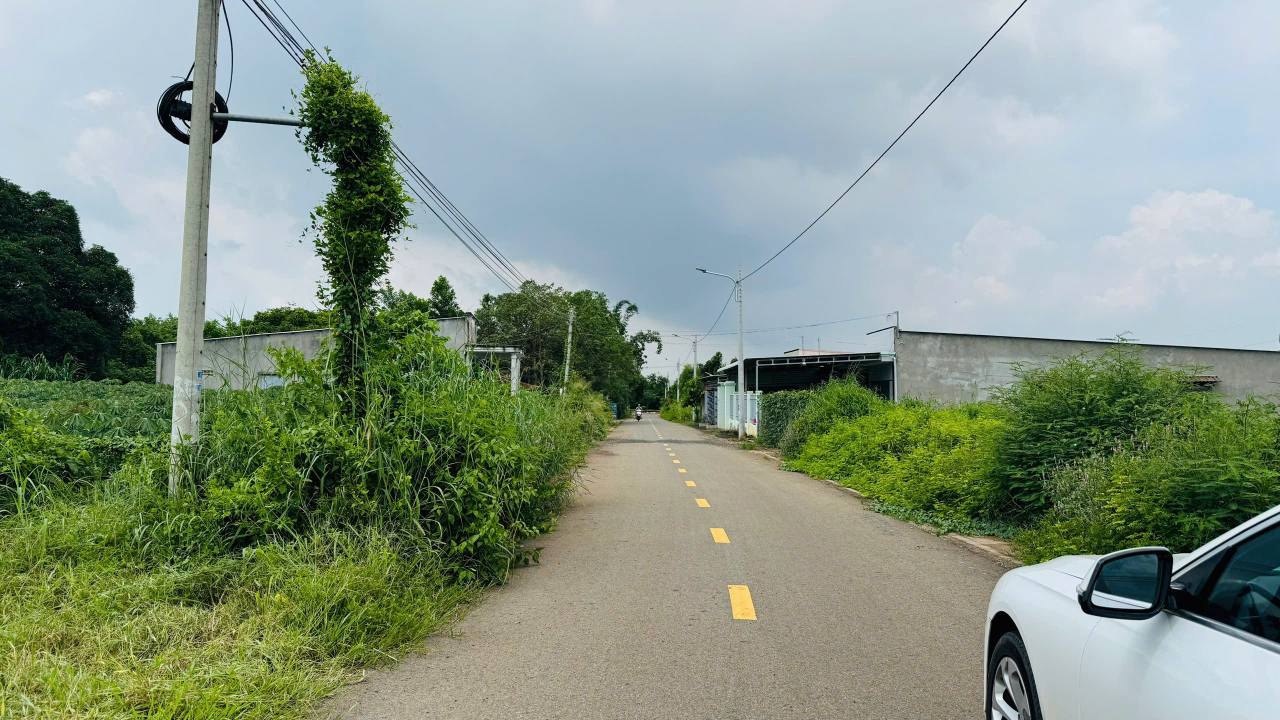 Đất nền mặt tiền đường Lương Thế Vinh - Đất Đỏ 3000m² giá 13 tỷ - Cơ hội đầu tư tuyệt vời!