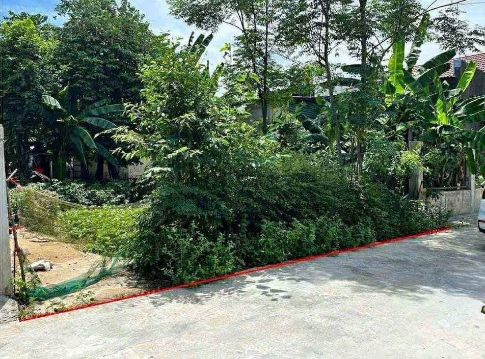 Đất nền Quảng Phú, Quảng Điền 100m² - Giá siêu rẻ chỉ 2xx triệu!