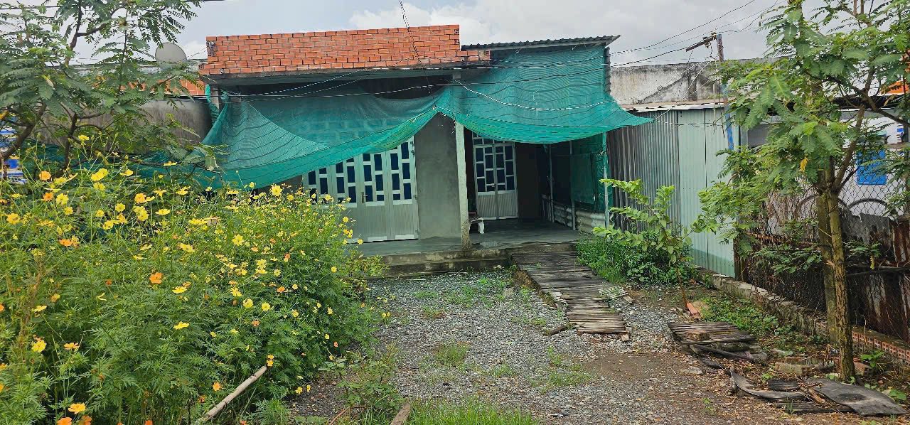 Nhà phố Nhị Thành, Thủ Thừa 187m² giá 1.05 tỷ - Nhà vườn lý tưởng bên sông!