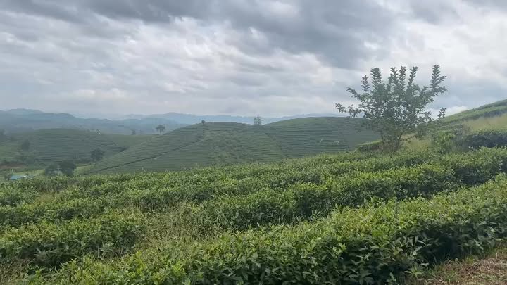 Đất nền Long Cốc Tân Sơn 2000m² chỉ 100 triệu - Pháp lý rõ ràng!