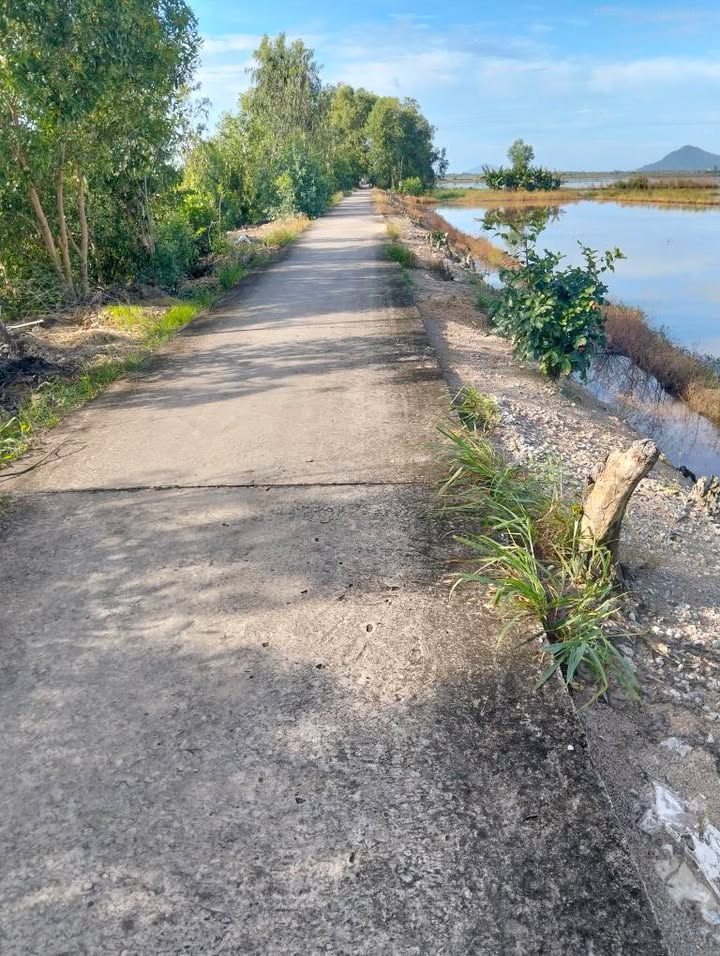 Đất nông nghiệp 35.000m² xã Sơn Kiên, Hòn Đất - Bán gấp chỉ 140 triệu