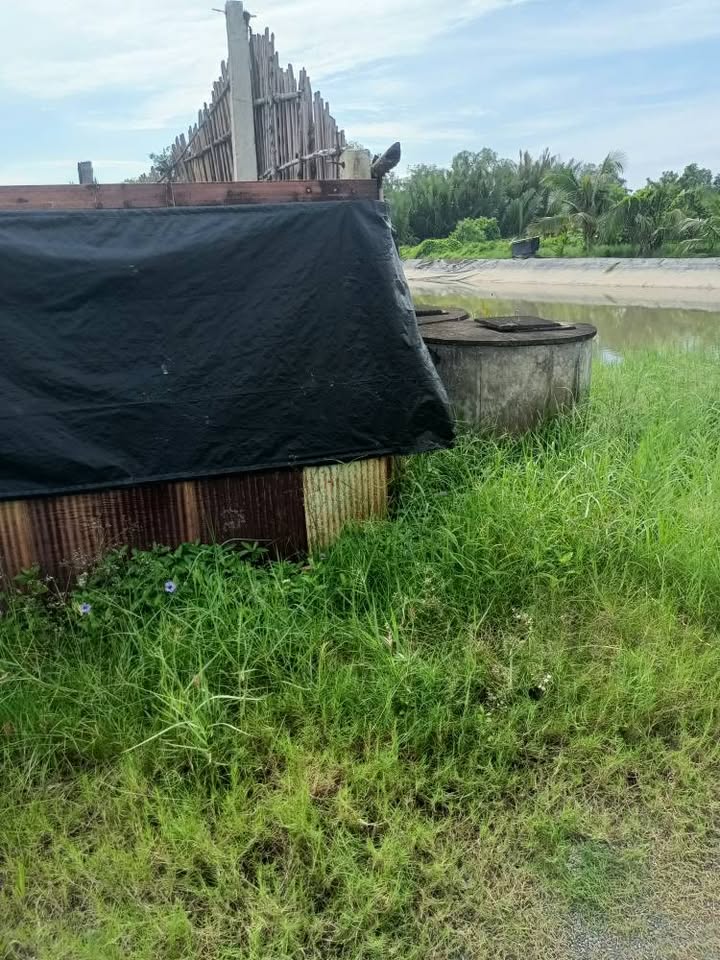 Đất lúa mặt tiền đường đá xanh 1900m² giá 1.2 tỷ - Chính chủ bán gấp!