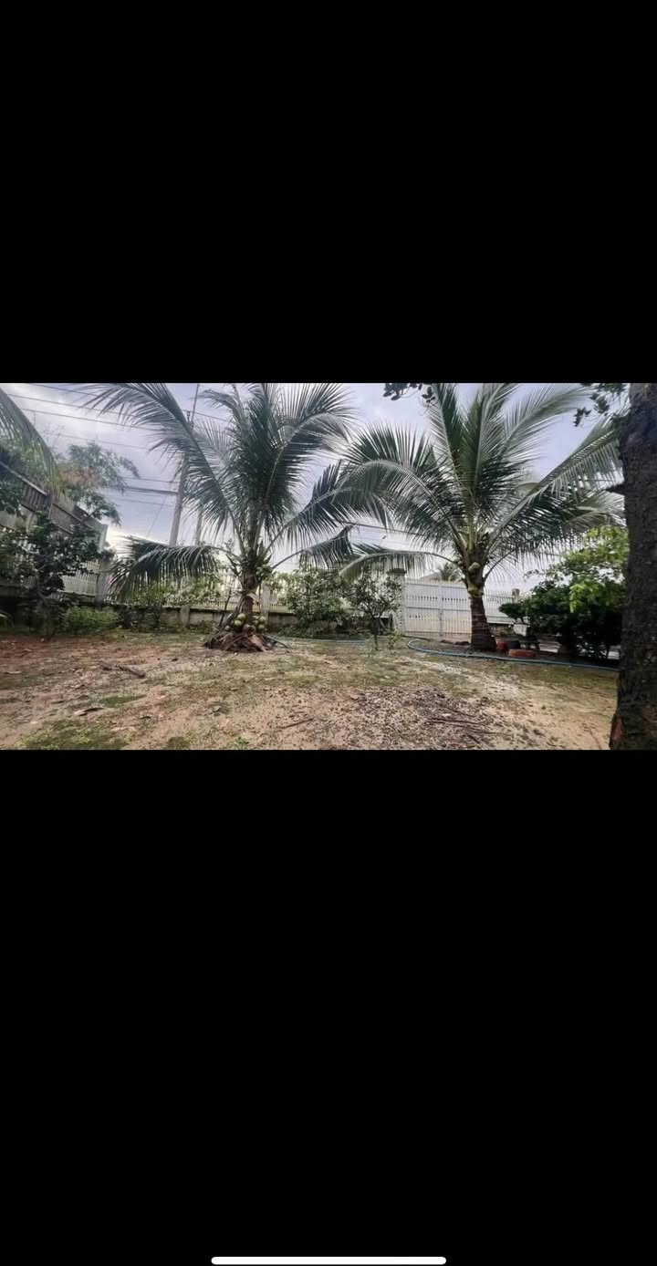 Bán đất mặt tiền ĐT 763, Xuân Thọ 200m² giá 1.25 tỷ - Cơ hội đầu tư sinh lời cao!