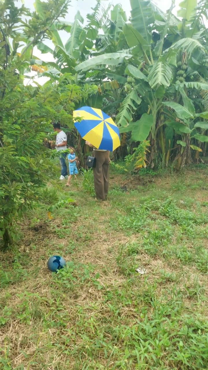 Đất nền Tân Triều, Vĩnh Cửu 636m² giá 1.5 tỷ - Sổ đỏ chính chủ