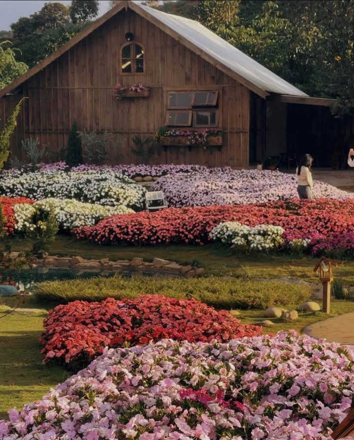 Đất hẻm ô tô đường Mai Hắc Đế Đà Lạt 68m² giá 5.8 tỷ - Vị trí đắc địa cho đầu tư!