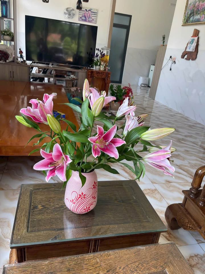 Đất nền Đắk Nia 204m² - Bán gấp mặt đường bê tông, thuận tiện mọi tiện ích!