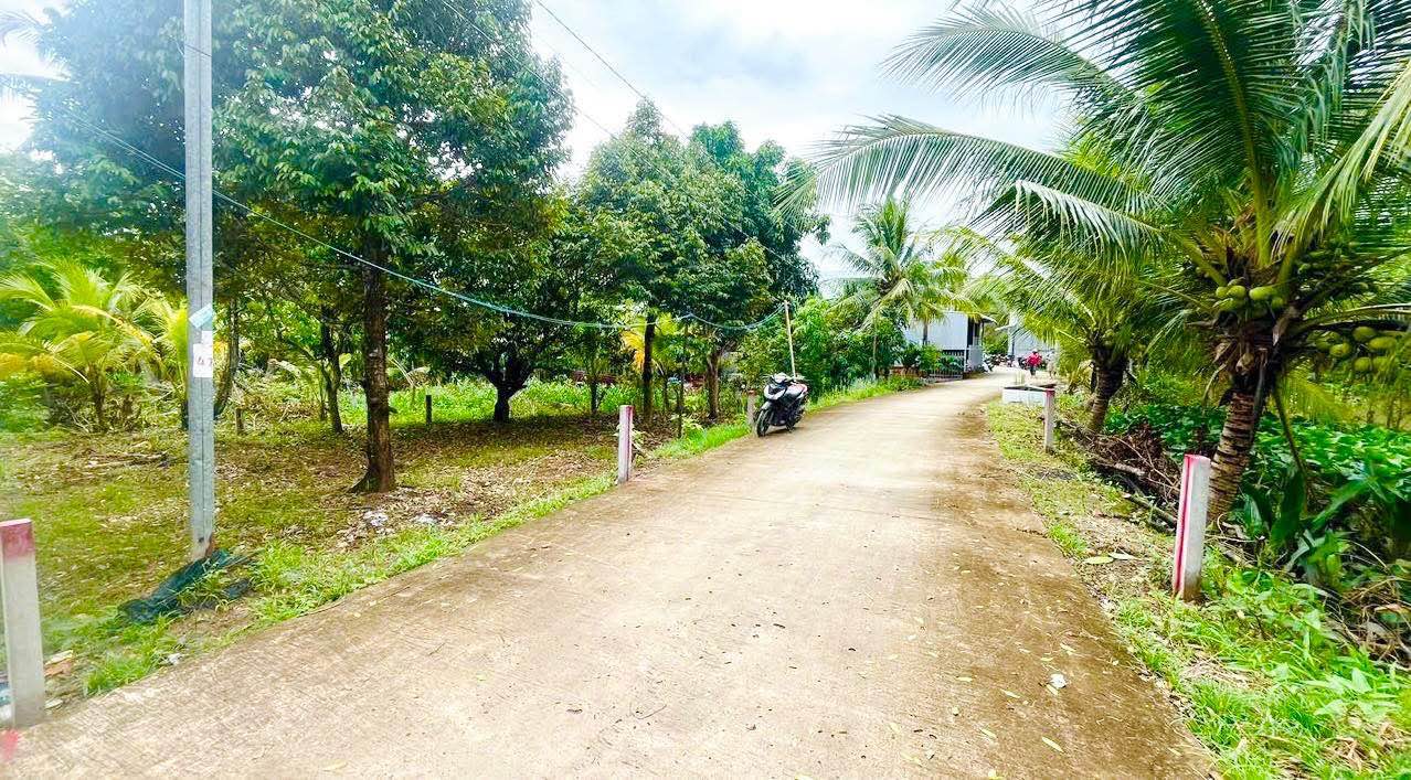 Đất nền Long Tuyền, Cần Thơ 59m² giá 750 triệu - Sổ hồng chính chủ, vị trí đẹp!