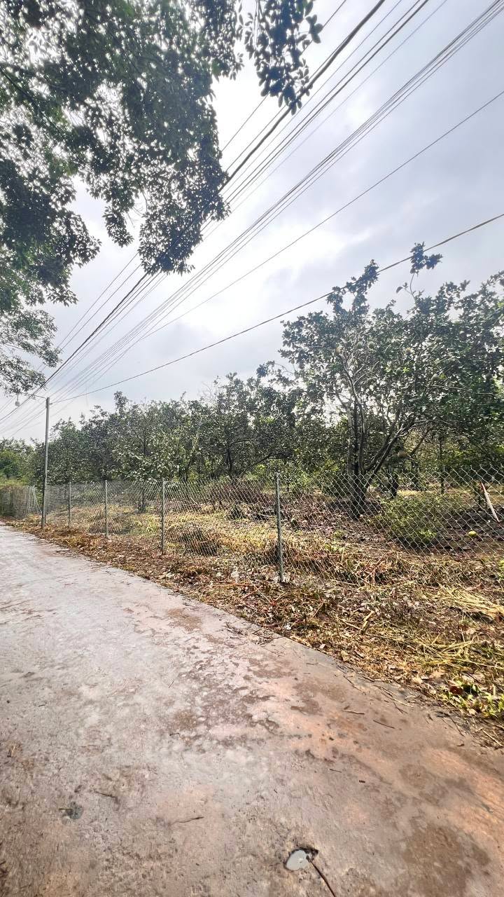 Đất thổ cư 165m² tại Phường Bảo Vinh, Long Khánh - Đầu tư sinh lời lý tưởng!