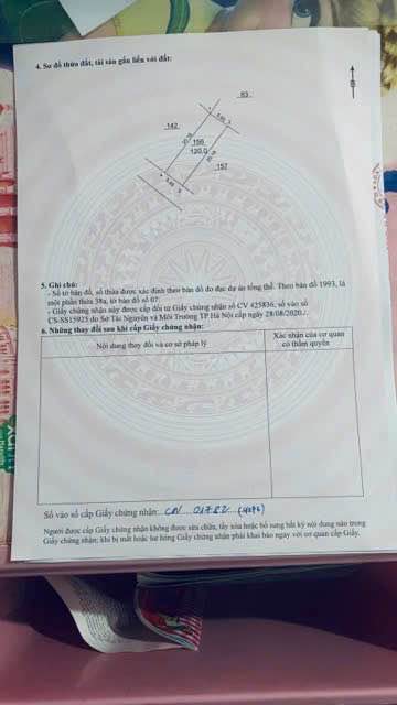 Đất nền kinh doanh Thế Trạch, Sóc Sơn 120m² - Mặt tiền 5.95m, giao thông thuận tiện!