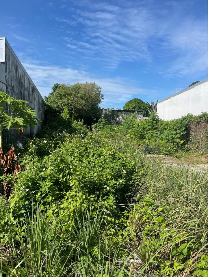 Đất nền đường Số 5, phường Mỹ Hòa, 82m² giá 1 tỷ - Nở hậu, gần công viên!