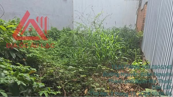 Bán đất đường Nguyễn Xuân Nguyên, Buôn Ma Thuột 150m² - Vị trí đắc địa, giá hợp lý!