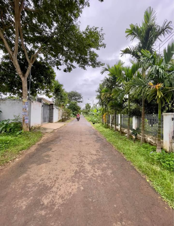 Đất thổ cư Tân An 180m² giá 2.1 tỷ - Đầu tư sinh lời hấp dẫn!