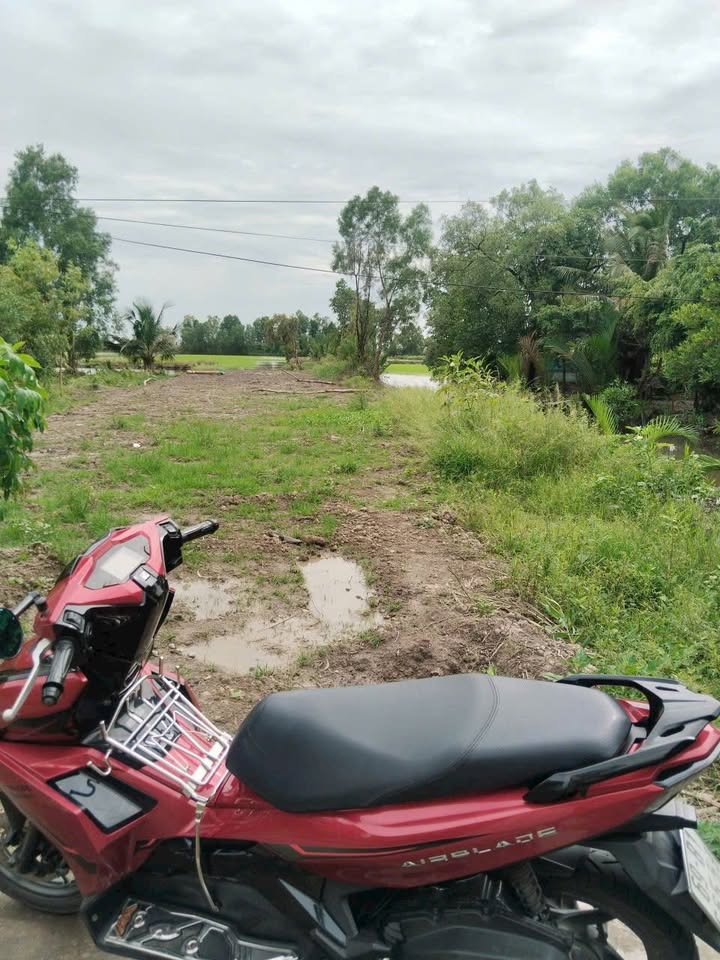 Đất lập vườn Cà Mau 700m² giá 1 tỷ - Cơ hội đầu tư tuyệt vời!