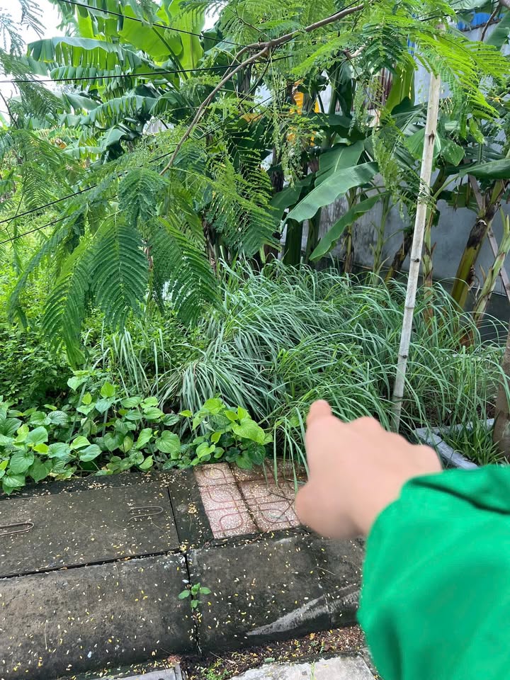 Đất thổ cư thôn 3 Bắc Sơn, Hải Phòng 125m² giá 3 tỷ - Mặt tiền rộng, kinh doanh thuận lợi!