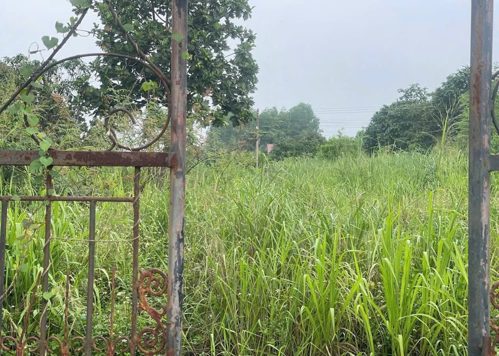 Đất thổ cư 1300m² mặt tiền đường 20 xã Hưng Thịnh - Giá chỉ 9.5 tỷ!