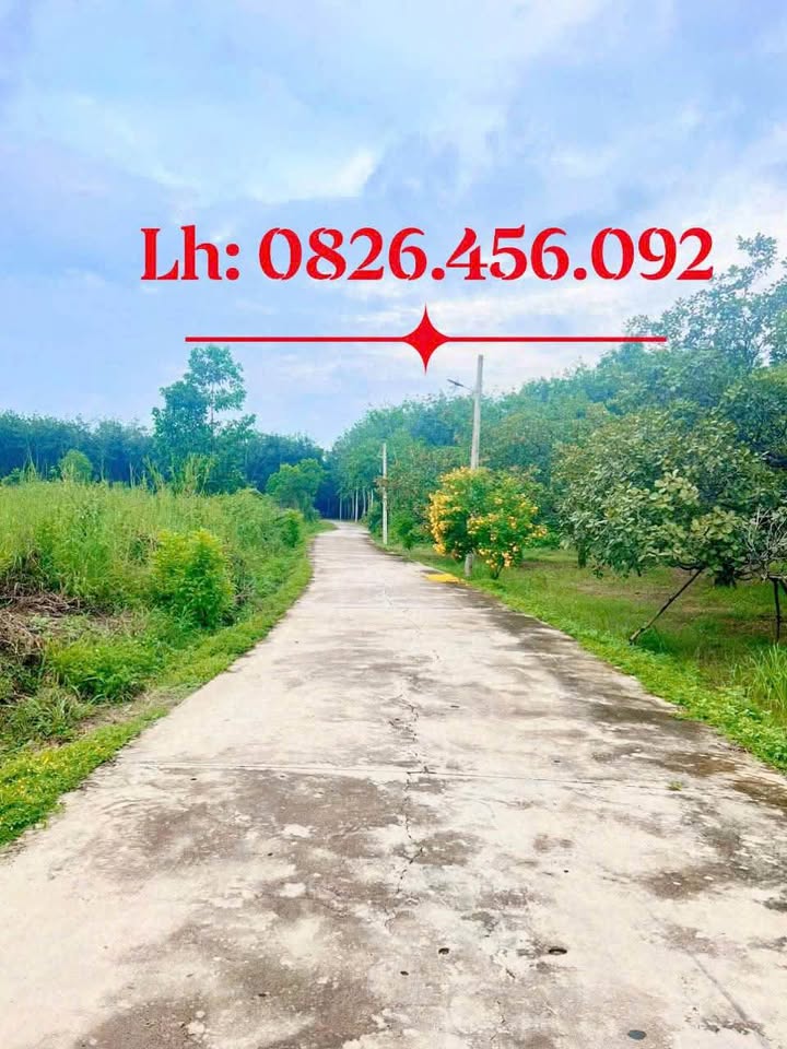 Đất nền Tân Đồng, Đồng Xoài 915m² - Giá tốt, sổ đỏ chính chủ!