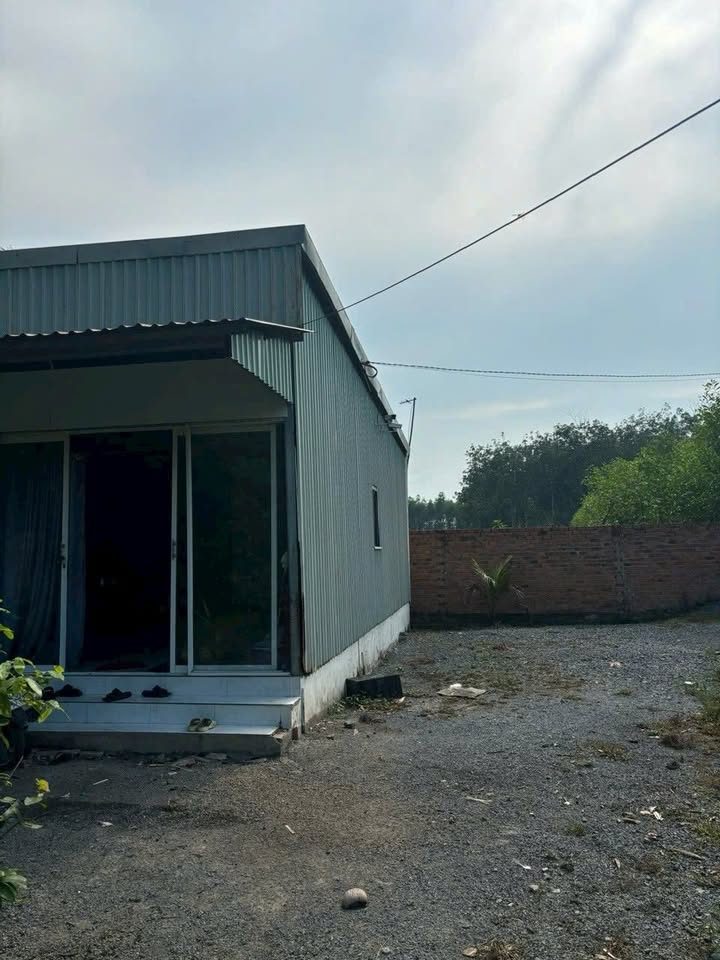 Đất nền 1400m² tại Phường Tân Triều - Giá 2.5 tỷ thương lượng ngay!