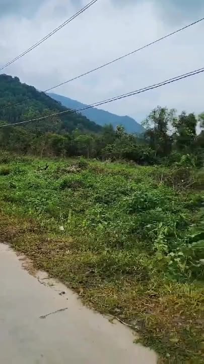 Đất nền 7200m² tại xã Xuân Lộc, Đồng Nai - Đầu tư sinh lời lý tưởng!