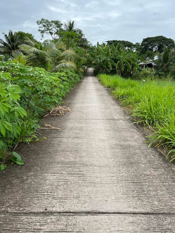 Đất nền Viên An Trần Đề 528m² giá 385 triệu - Nền cao ráo, gần khu dân cư!