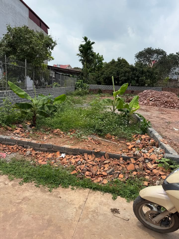 Đất thổ cư Xương Lâm, Lạng Giang 94m² giá 1.6 tỷ - Cơ hội đầu tư sinh lời!