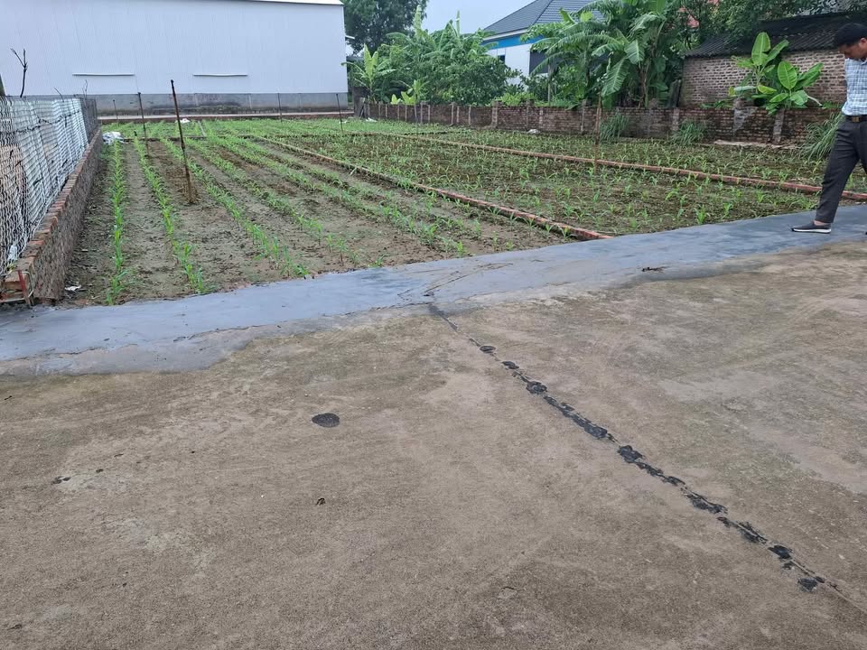 Đất nền Nhất Trại, Long Biên 107m² giá chỉ 1.1 tỷ - Ô tô vào tận nơi!