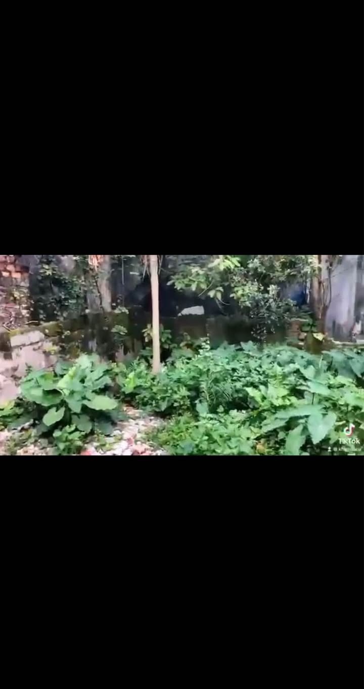 Đất nền tại Ngõ 178 Trần Quang Khải, Xuân Trường, 98m² giá chỉ 1.25 tỷ - Cơ hội vàng cho đầu tư!